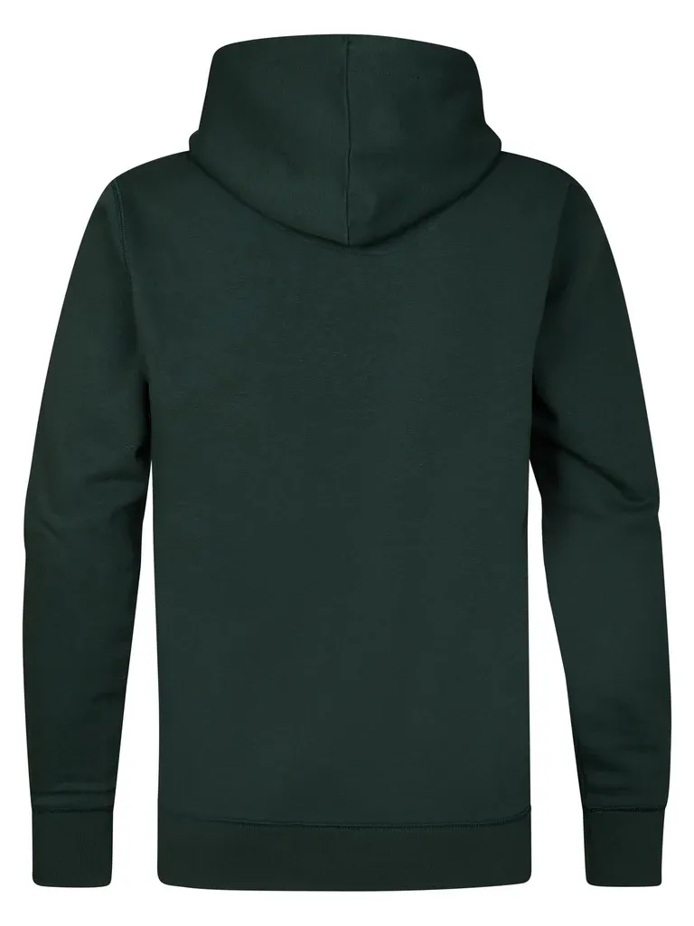 Petrol Artwork Hoodie Kowak - Green