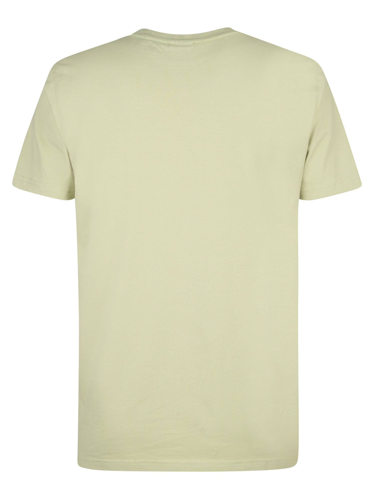 Petrol Logo T-shirt - Mint