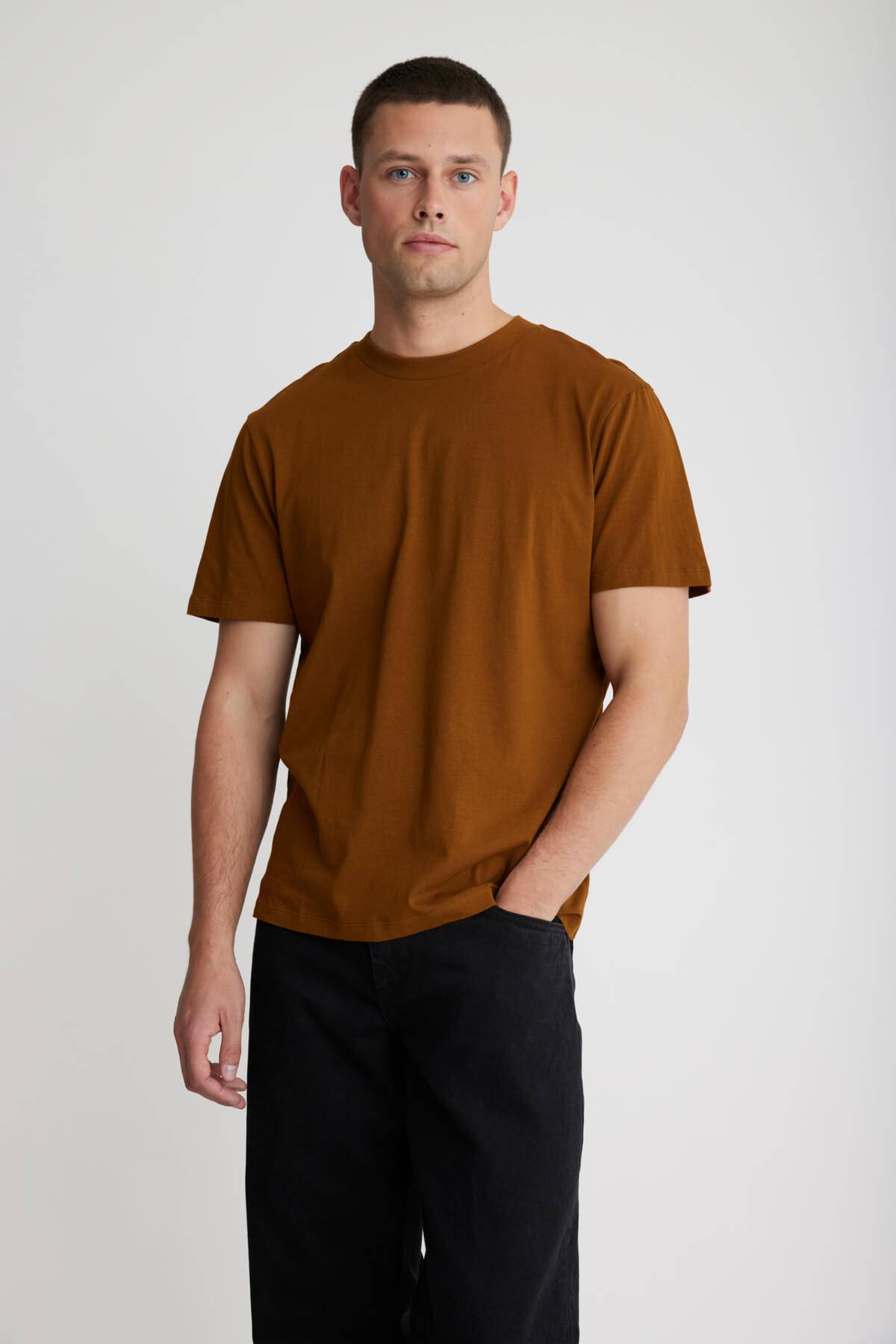 Blend BHIVO Tee - Brown