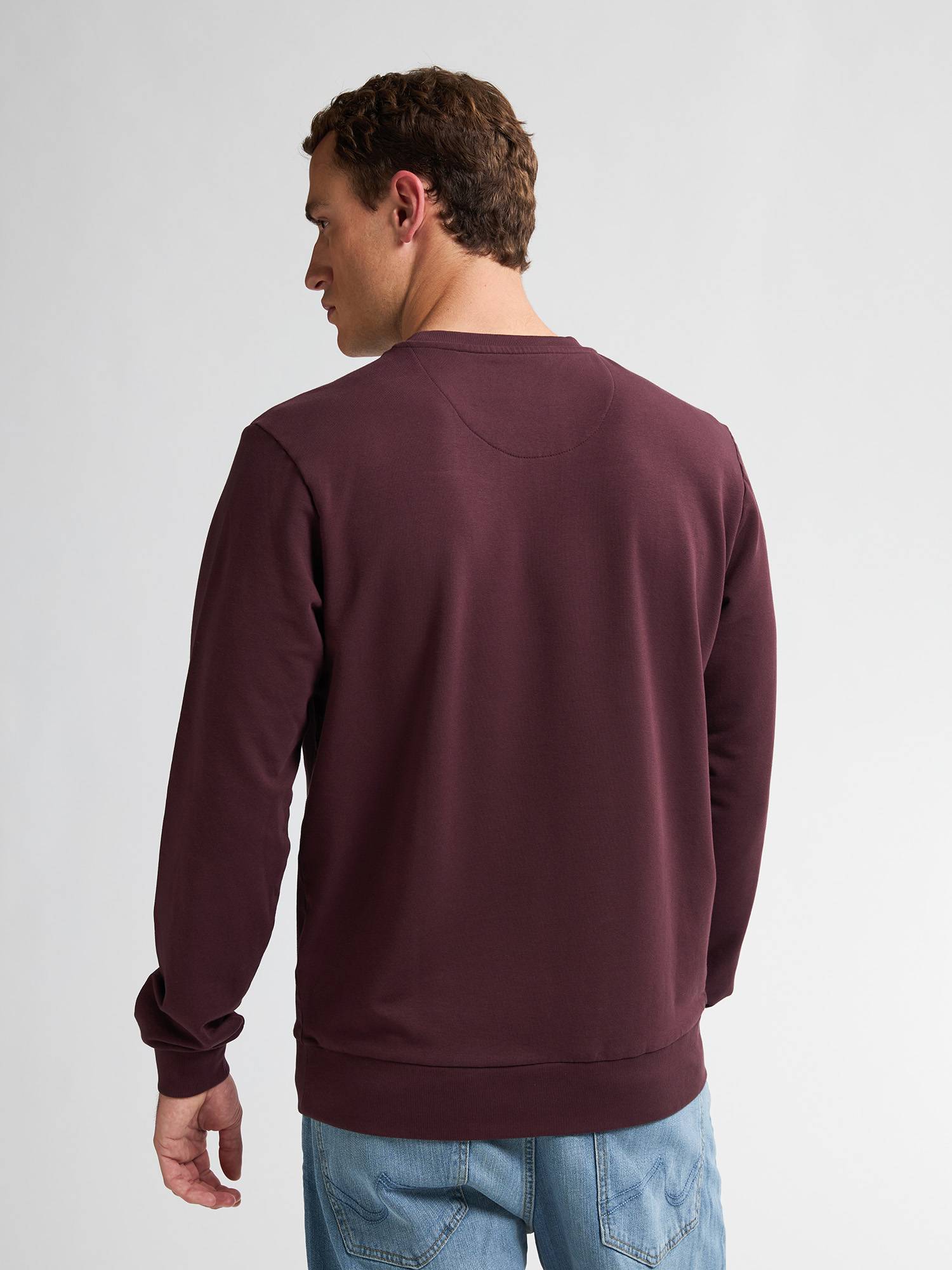 Petrol Logo Sweater Seaviewpark - Bordeaux