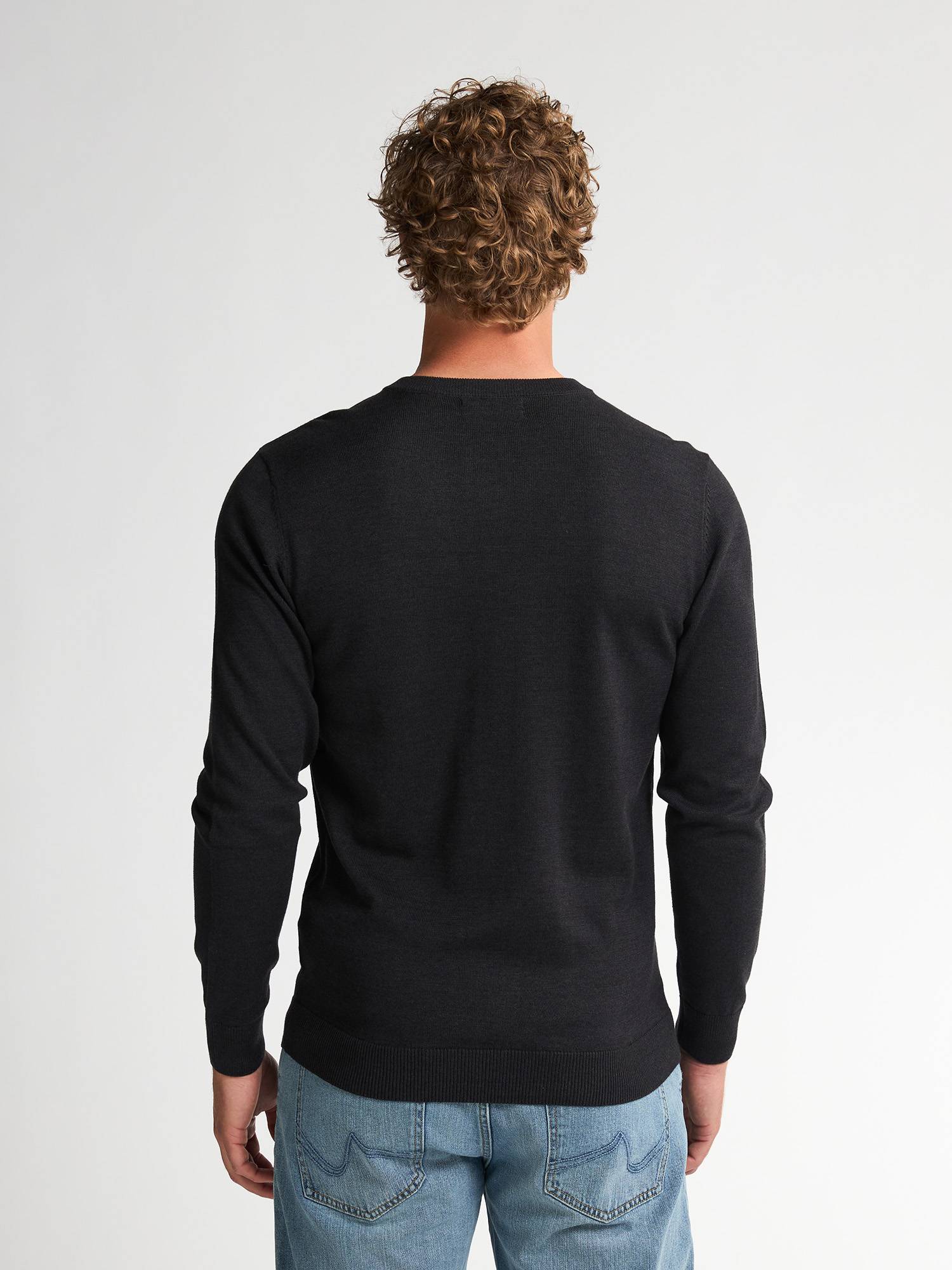 Petrol Fine-knit V-neck Sweater Whitefish - Black