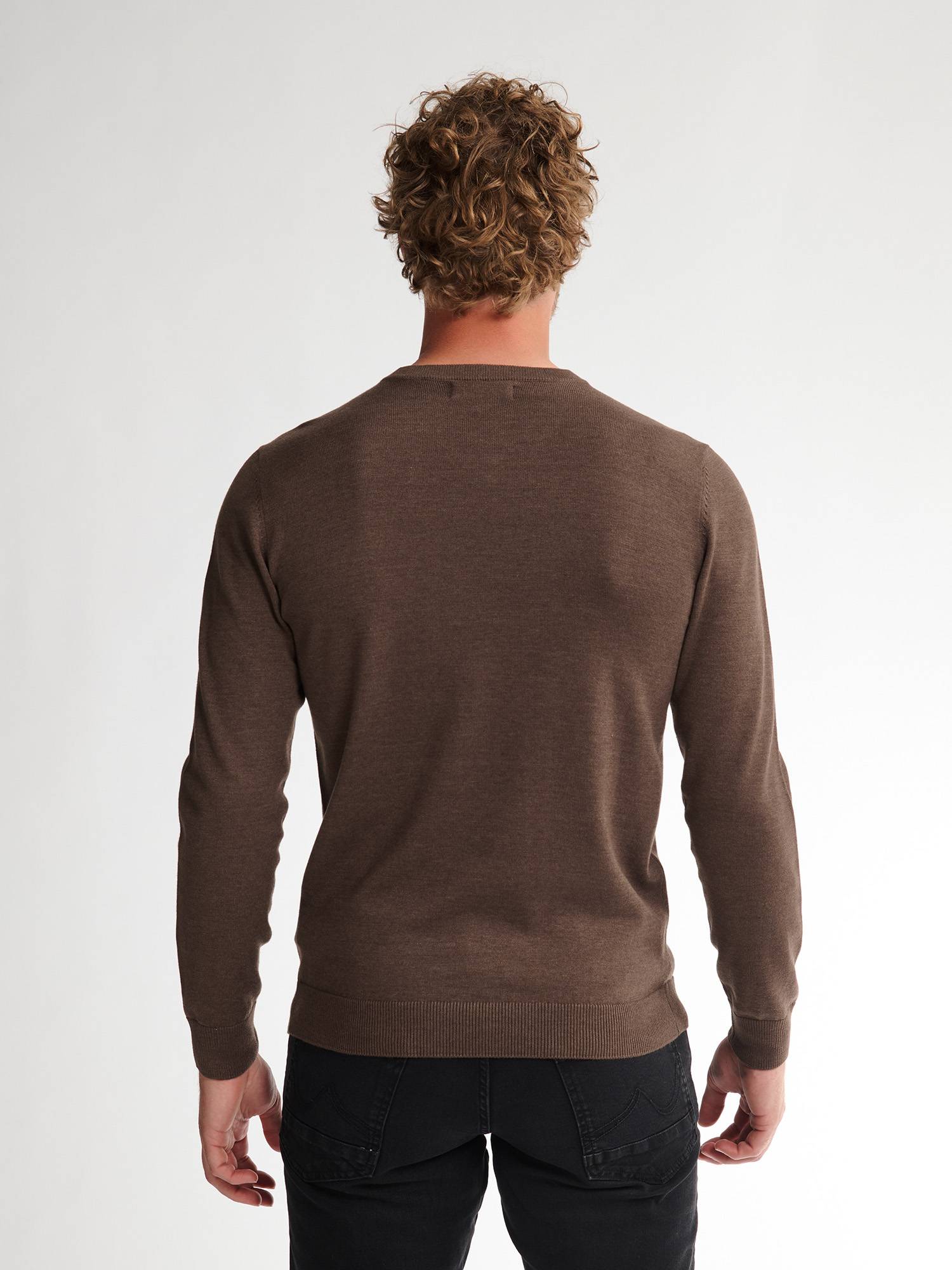 Petrol Fine-knit V-neck Sweater Whitefish - Brown