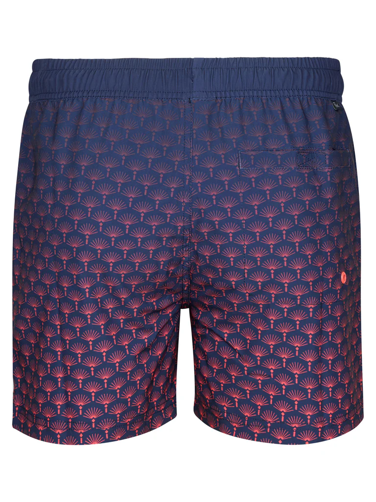 15SWS952-CORAL_9