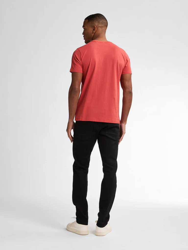 15TSR002-CORAL_2