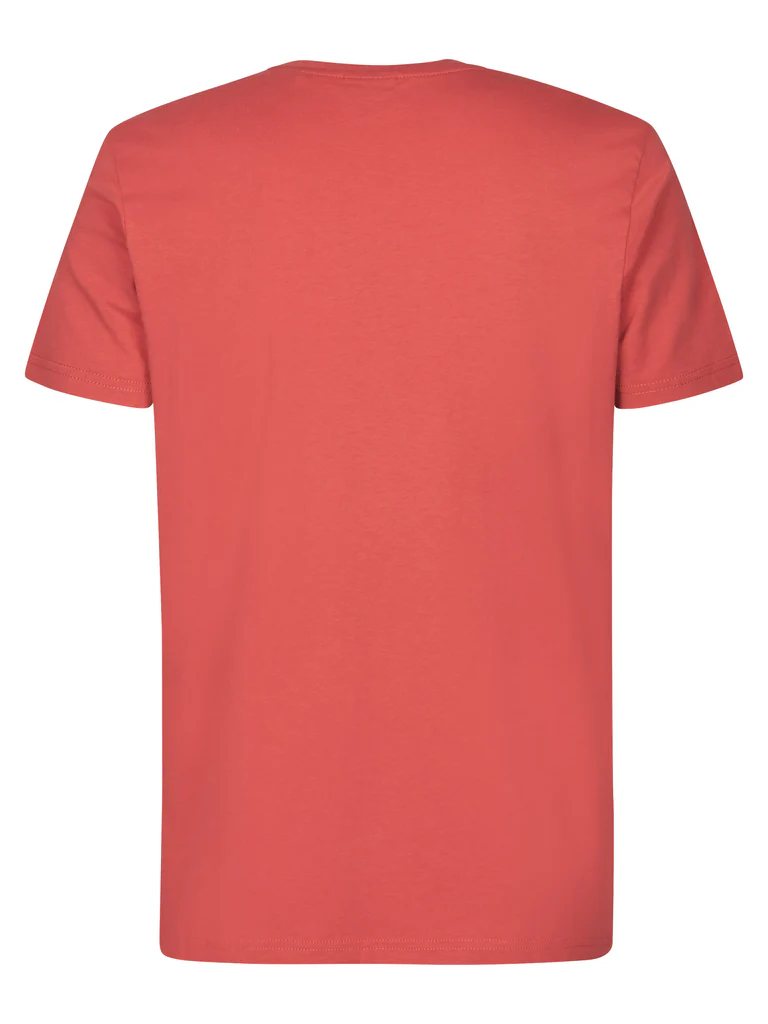 15TSR002-CORAL_8