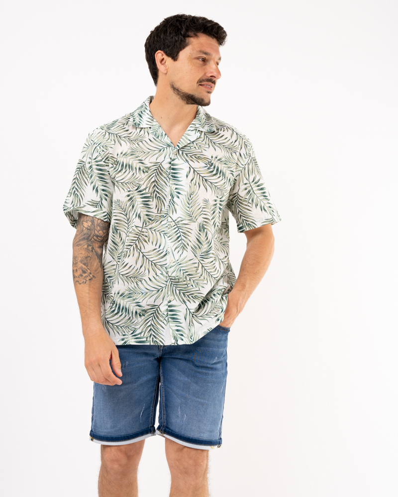 NH5599-GREEN