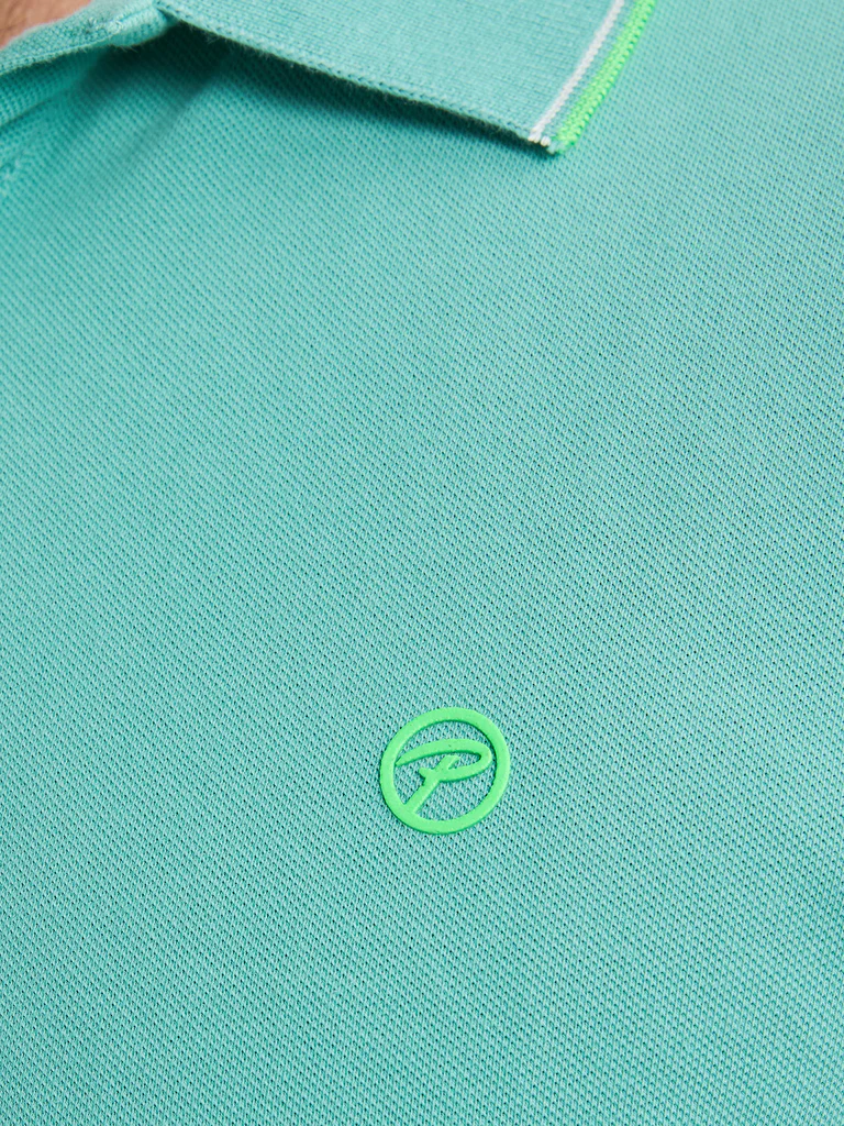 POL003-MINT_6