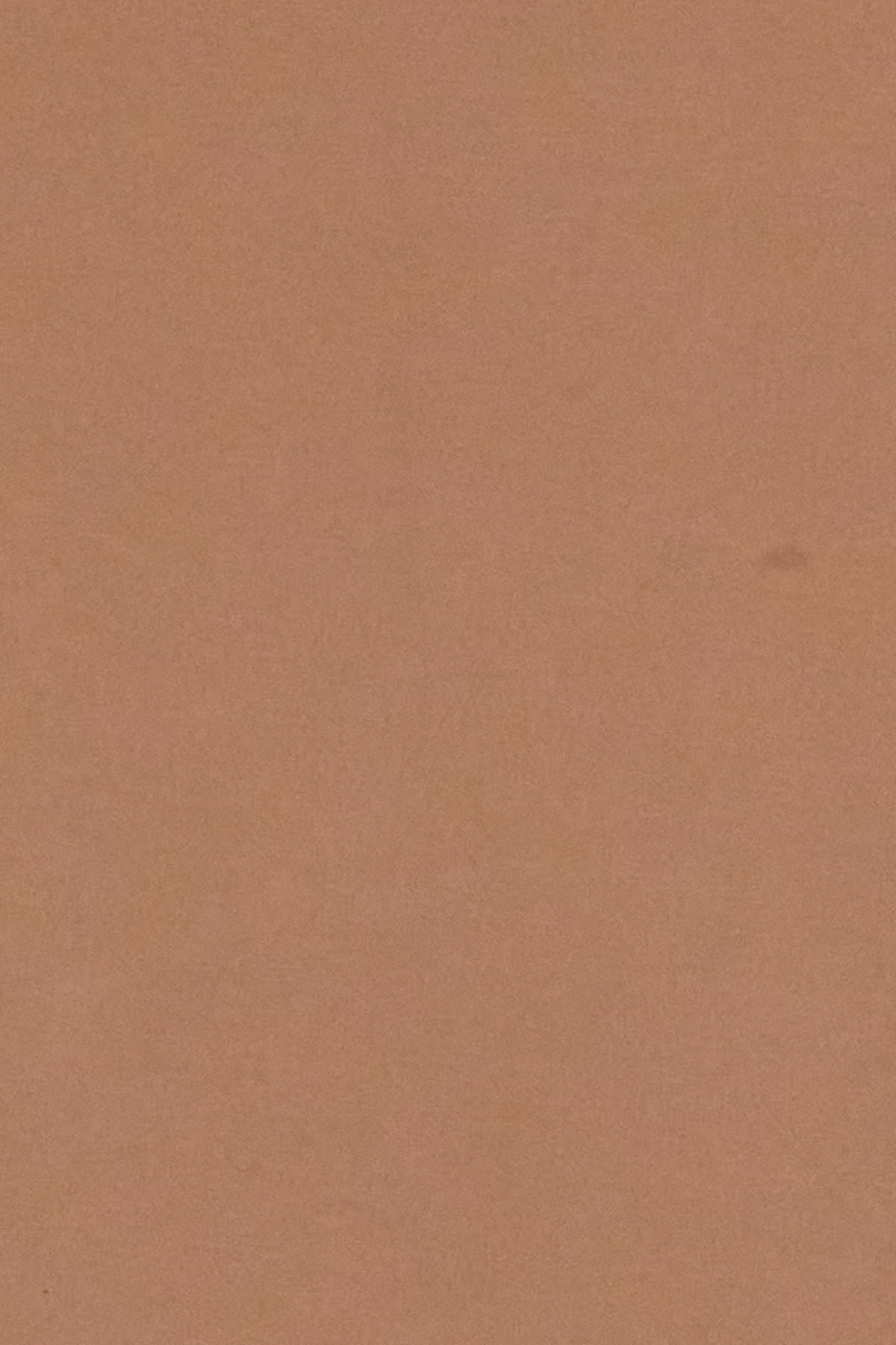 VAN2510702-CAMEL_1