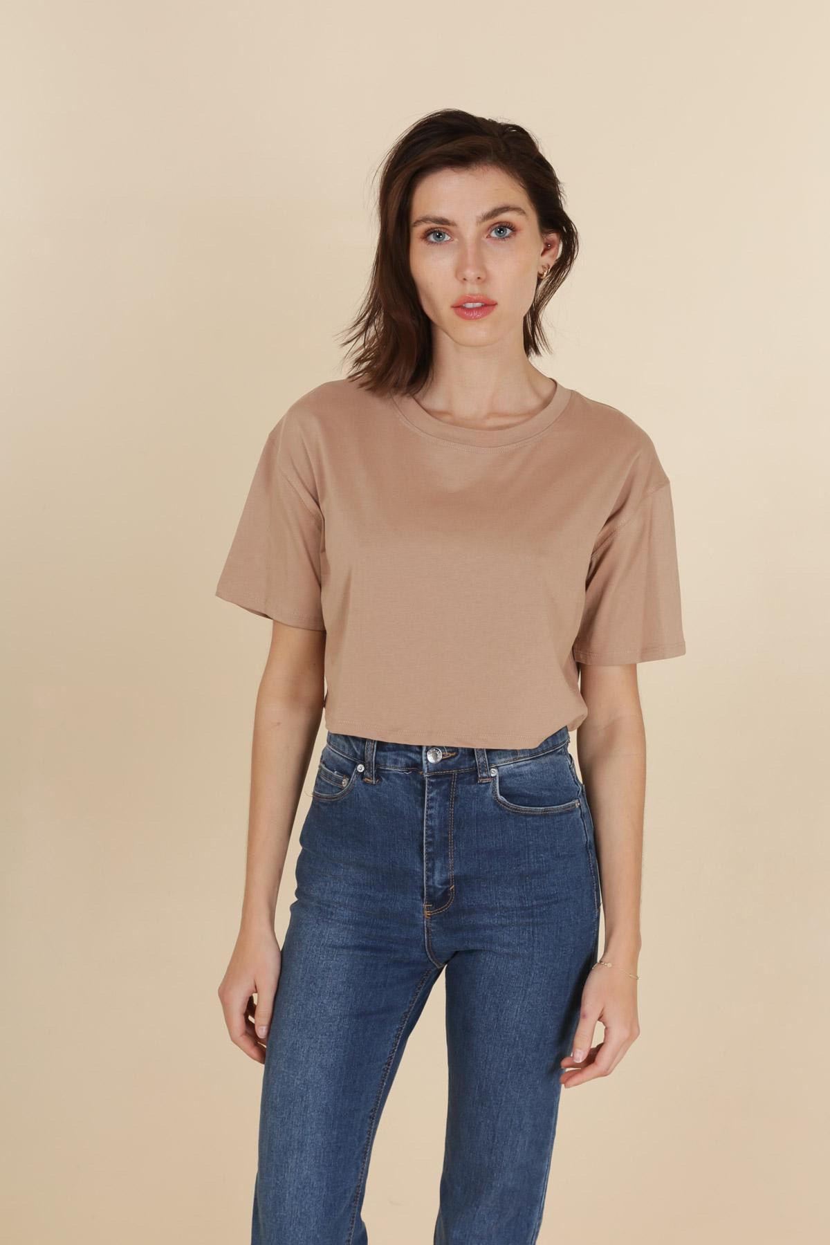 VD1387-CAMEL