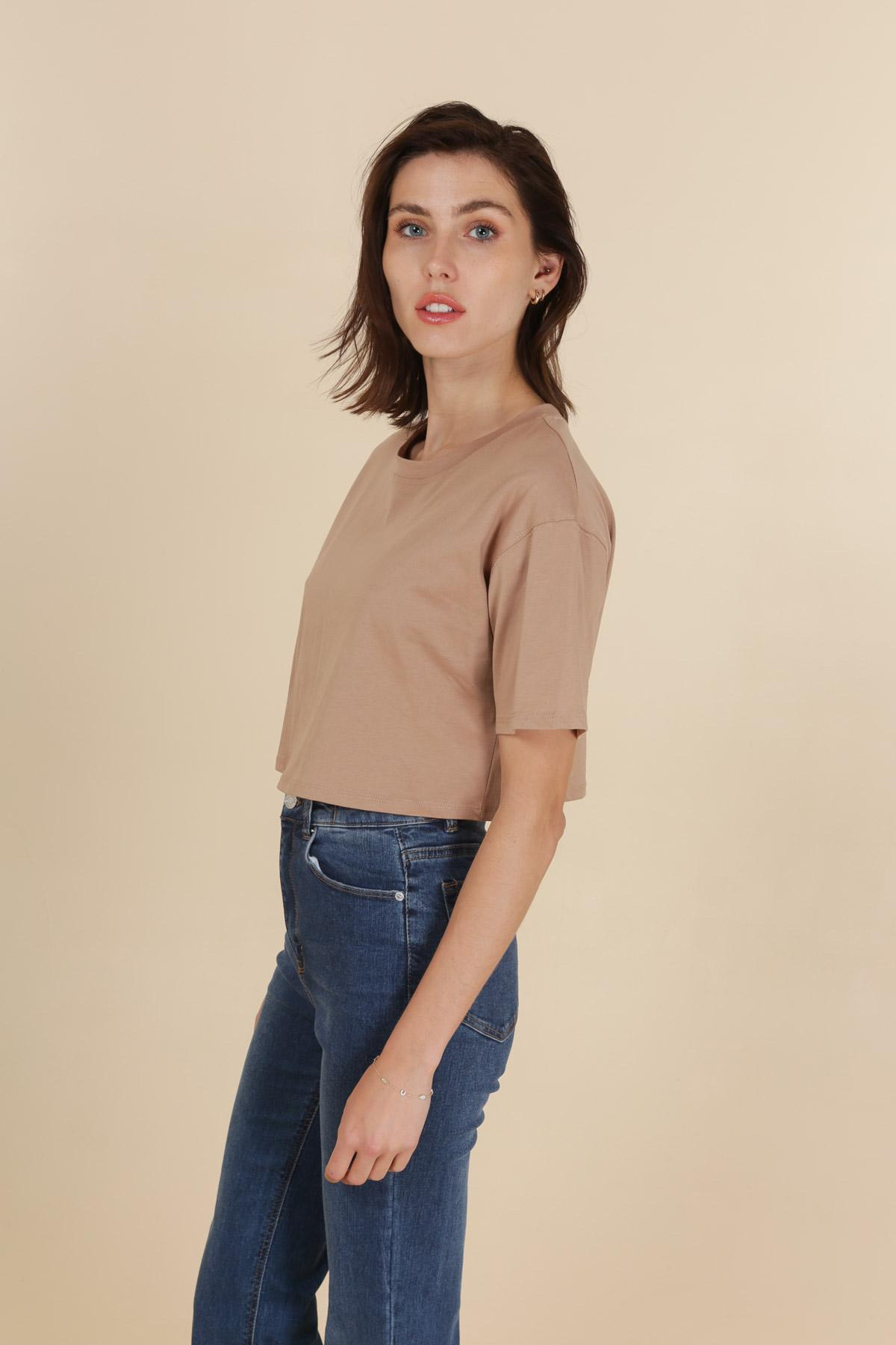 VD1387-CAMEL_2