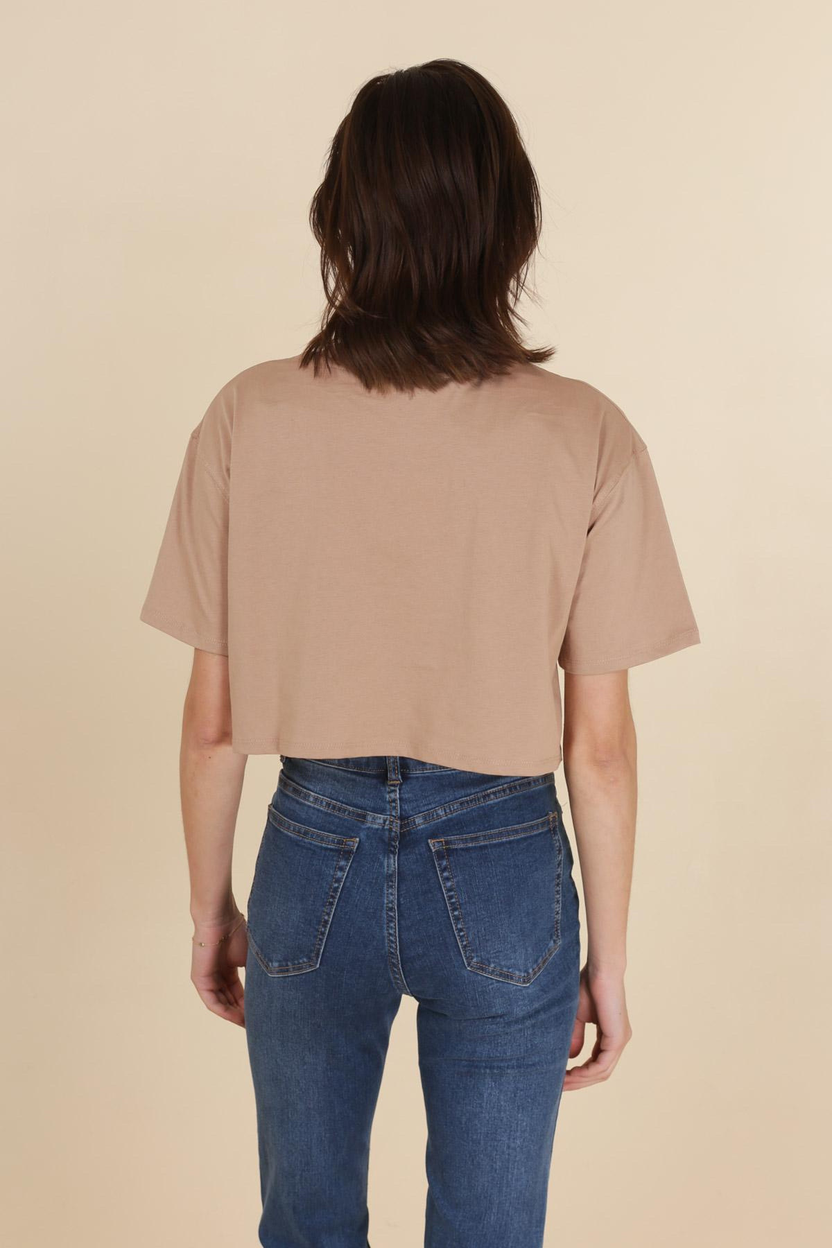 VD1387-CAMEL_3